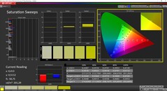 CalMan ColorChecker - Verzadiging