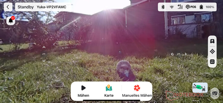 Live video in de Mammotion app