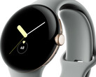 De Pixel Watch vertrouwt op een verouderde Exynos 9110-chipset die voor het eerst werd gezien in de Galaxy Watch2 Active. (Beeldbron: Google)