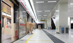 Een kat stapt uit de trein (bron: Xing&#039;s World via YouTube; screenshot)