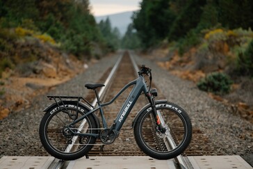 De Kingbull Discover 2.0 heeft een 750 W borstelloze achternaafmotor van Bafang (Afbeelding bron: Kingbull)