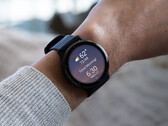 Garmin heeft nog niet aangegeven wanneer v11 updates de stabiele status zullen bereiken. (Afbeeldingsbron: Garmin)