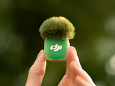 DJI zal in 2026 twee Mic Mini versies uitbrengen, Mic Mini 2 afgebeeld.