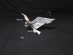 Een afbeelding van RoboFalcon2.0 (Afbeeldingsbron: onderzoekers; bewerkt)