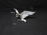 Een afbeelding van RoboFalcon2.0 (Afbeeldingsbron: onderzoekers; bewerkt)