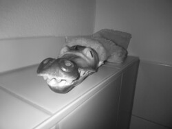 Nachtzicht camera beeld