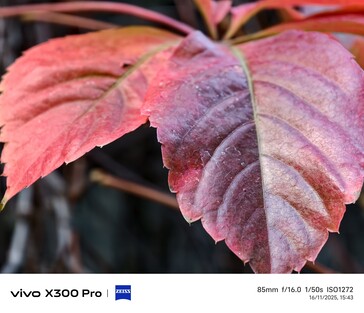 Vivo X300 Pro: Foto voorbeeld