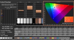 CalMAN: ColorChecker (gekalibreerd)