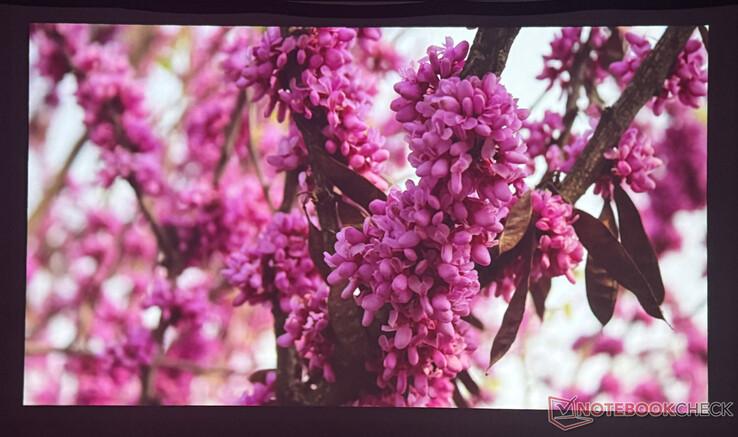 Beeldkwaliteit Nevel P1 in een verduisterde kamer (Beeldbron: Pexels)