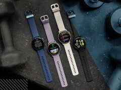 De Garmin Vivoactive 5 kan nu Public Beta Update versie 8.27 ontvangen. (Afbeelding bron: Garmin)