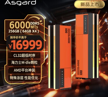 De 256 GB DDR5-6000 kit kost daarentegen maar liefst $2.400. (Afbeeldingsbron: JD.com)