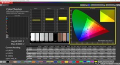 Calman ColorChecker (Profiel: sRGB, Doelkleurruimte: sRGB)