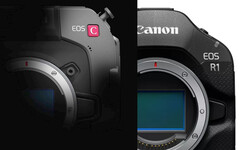 Het ziet ernaar uit dat Canon's geplaagde cinema camera een aantal updates heeft die lijken op die van de EOS R1. (Afbeelding bron: Canon - bewerkt)