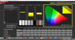 CalMAN ColorChecker (profiel: P3, doelkleurruimte: P3)