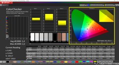 CalMAN ColorChecker (Profiel: P3, Doelkleurruimte: P3)