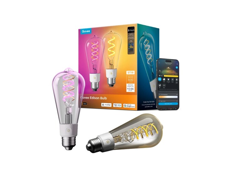 De Govee E26 Smart Edison Light Bulb 500lm voor de VS