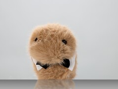 Dieter (Afbeelding bron: ZKM Karlsruhe)