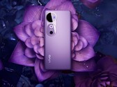 Zelfs de goedkopere Vivo V40 heeft een 4.500 nits helder AMOLED-scherm. (Afbeeldingsbron: Vivo)