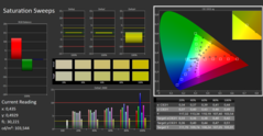 CalMan ColorChecker: Verzadiging