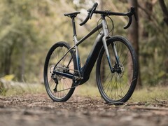De Marin Bikes Lombard E heeft een Bosch SX Spring motor (Afbeelding bron: Marin Bikes)