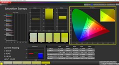 CalMAN Colorchecker Verzadiging