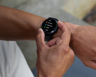 Garmin beweert dat het met Beta 17.01 een paar onopgeloste bugs op de Vivoactive 5 heeft verholpen, maar geen bug die te maken heeft met recente claims over overmatig batterijverbruik. (Afbeelding bron: Garmin)