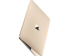 Er zijn nog geen concrete aanwijzingen dat er een nieuwe 12-inch MacBook in ontwikkeling is. (Afbeeldingsbron: Apple)