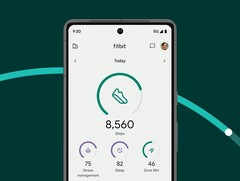 Fitbit laat sommige gebruikers drie nieuwe functies in zijn app testen. (Afbeeldingsbron: Fitbit)