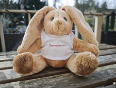 Xiaomi 15 Ultra: Voorbeeldfoto