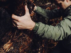 Whoop's Navigator Band in Evergreen