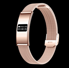 (Afbeeldingsbron: Rogbid)