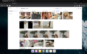 AI-gestuurde zoekopties