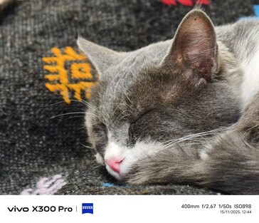 Vivo X300 Pro 400 mm met teleconverter.