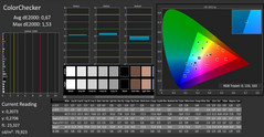 CalMAN: ColorChecker (gekalibreerd)