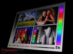 Het OLED paneel...