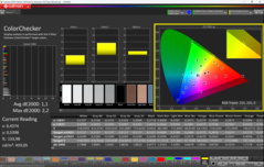 CalMAN KleurenChecker