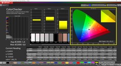 CalMAN ColorChecker (profiel: Weergave P3, doelkleurruimte P3)