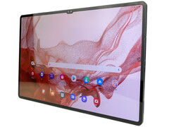 De Galaxy Tab S9 zal lanceren met een AMOLED paneel (afbeelding via eigen)