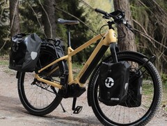 De Tout Terrain Pamir One e-bike is uitgerust met de Pinion E1.12 MGU. (Afbeelding bron: Tout Terrain)