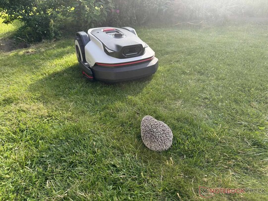 De detectie van de igel met behulp van de twee camera’s werkte uitzonderlijk goed.