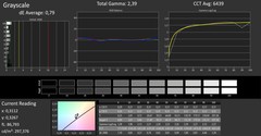 CalMAN - Grayscales (after calibration)