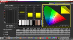 CalMAN ColorChecker (profiel: P3, doelkleurruimte: P3)