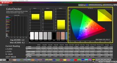 CalMAN ColorChecker (profiel: Native, doelkleurruimte: P3)