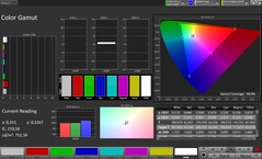 CalMAN sRGB-kleurruimte