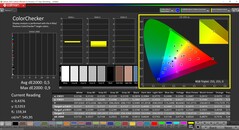 CalMAN ColorChecker (profiel: Vivid, doelkleurruimte: P3)
