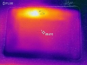 Heatmap van de rug