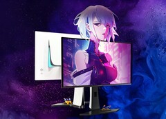 De nieuwste OLED-monitor van ViewSonic haalt 240 Hz en 1.000 nits helderheid. (Afbeeldingsbron: ViewSonic)