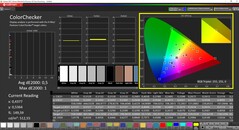 CalMAN ColorChecker gekalibreerd (doelkleurruimte P3)