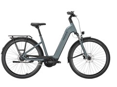 Sterke EVO 5F Lite: E-bike kan met veel bagage worden beladen. (Afbeelding bron: Pegasus)
