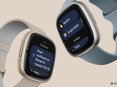 Je kunt nu Google Wallet gebruiken om contactloze betalingen te doen op je Fitbit Sense 2 of Versa 4 smartwatch. (Beeldbron: Fitbit)
